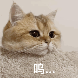 久久超碰色中文字幕超
